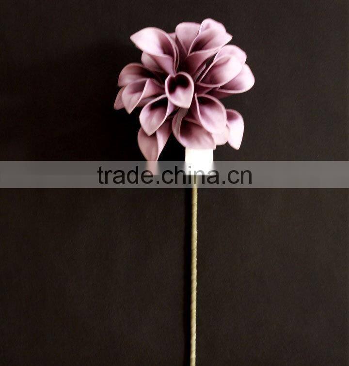 wholesale alibaba large indoor tropical plants