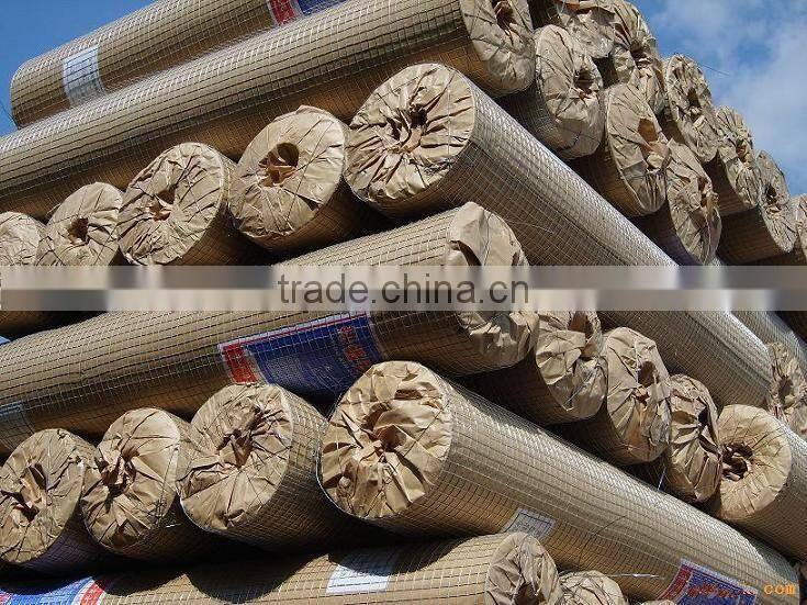 Galvanized Welded Wire Mesh from Guangzhou Supllier