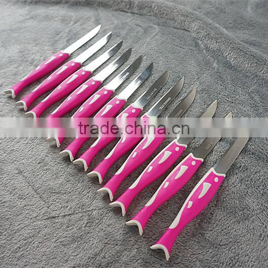 51010 12PCS STAINLESS STEEL fruit Knife Set