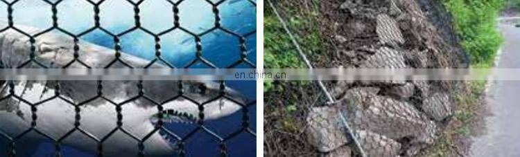 PET Agriculture Fish Farm Cage Netting Gabion Hexagonal Wire Mesh