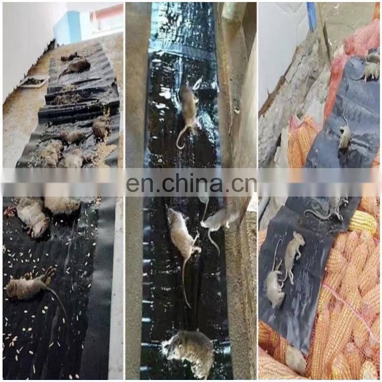 Hight quality sticky mouse rat trap wholesale paper board mouse glue trap