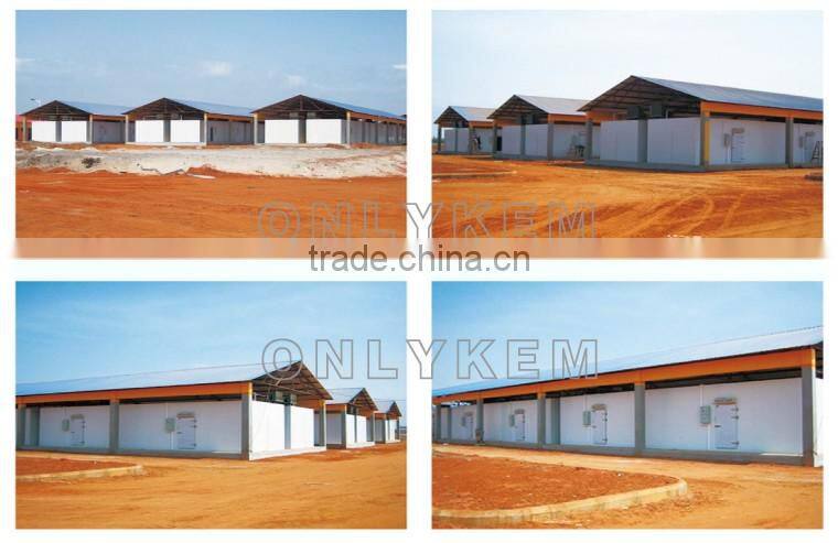 China hinged door for cold room,hinged door manufacture