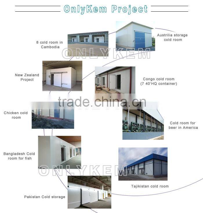 China hinged door for cold room,hinged door manufacture
