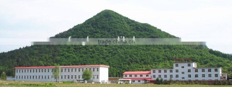 big lighter FH-218 with color gas LED lighter