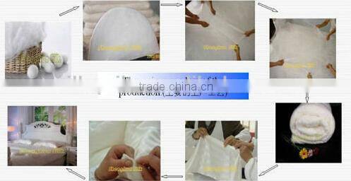 100% mulberry silk filling Cotton cover Pillows