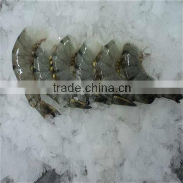 frozen bulk shrimp
