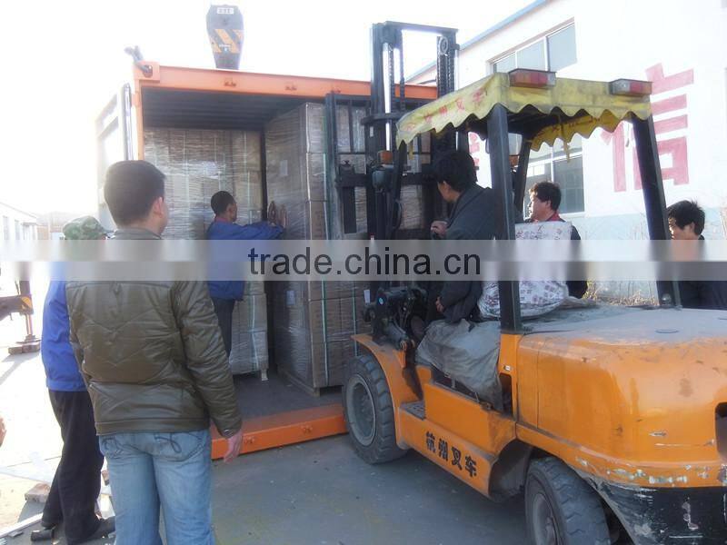 2015 new Olympic Weight Plate Bumper Plate Tree/Rack/Display