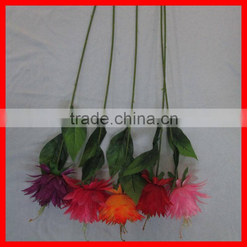 Single Stem Colorful chrysanthemum flower