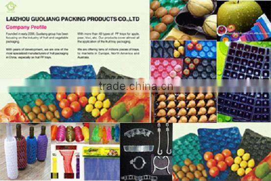 FDA Approval Custom-Made Different Types Gillian's PP Plastic Fruit Tray