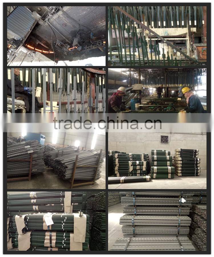 metal t fence posts with competitive price
