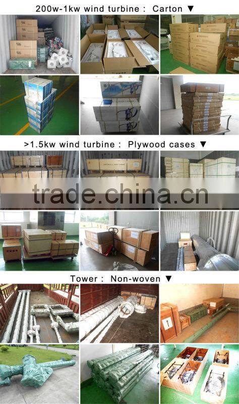 hot sale 300w S type vertical small wind generator