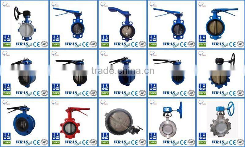 Stainless Steel Foot Valve SS304/SS316 Foot Valve ANSI Flange foot valve with strainer