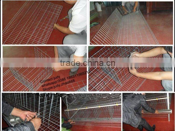 Layer chickens rearing cage A type style for farm