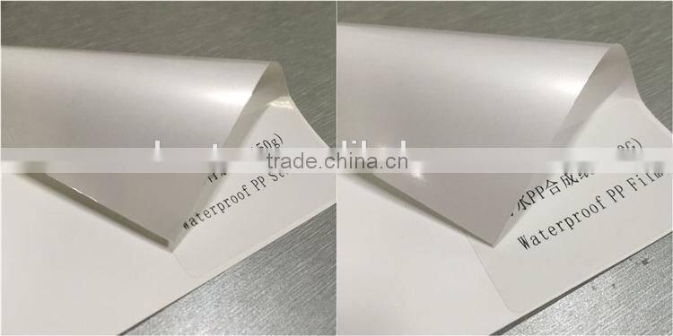 Dye pp paper, Eco-solvent pp paper, Matte pp paper for poster advertising