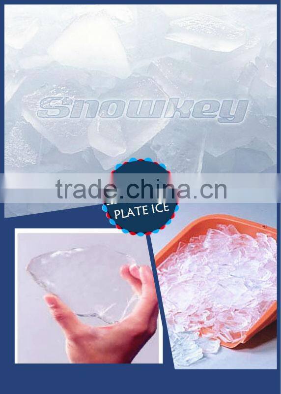 CHINA TOP1 industrial Ice Machine For Sale 8 Tons Plate Ice Machine Ice Maker Price In Austrial