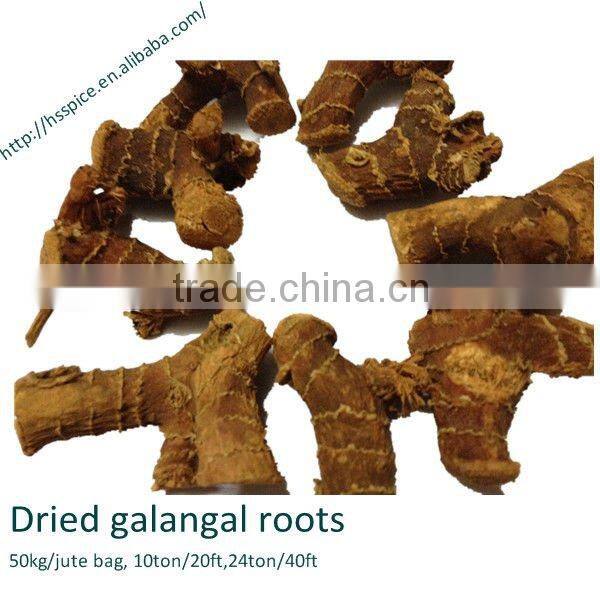 China Origin Well Died Galangal Roots