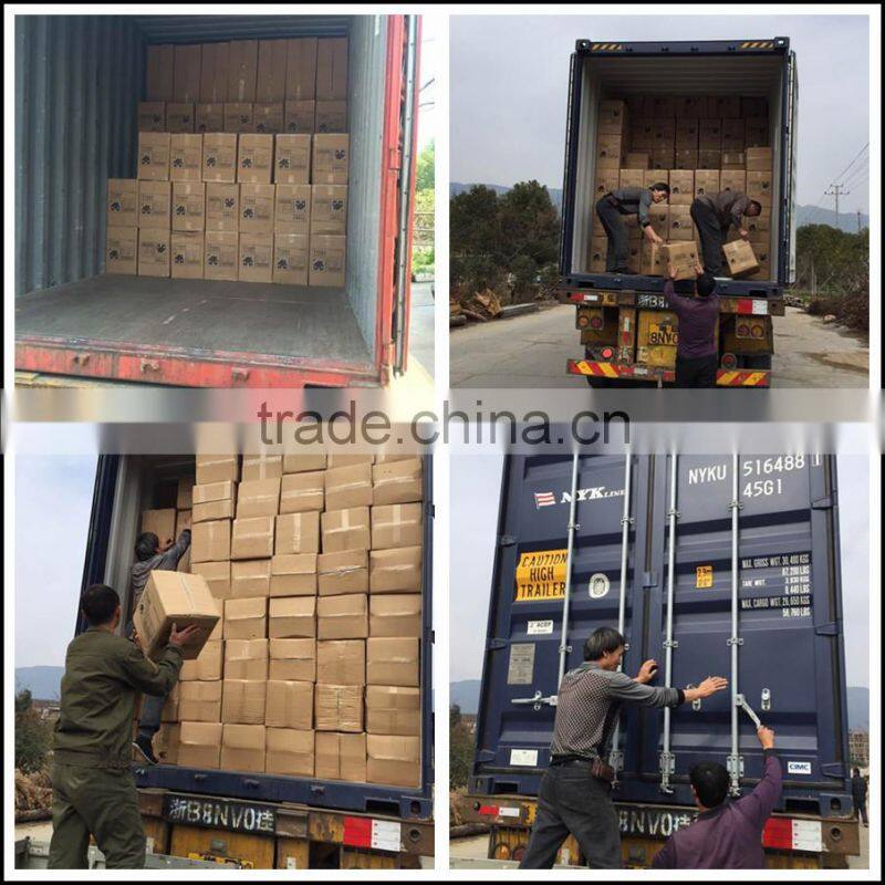 Plastic Mop Wringer Buckets