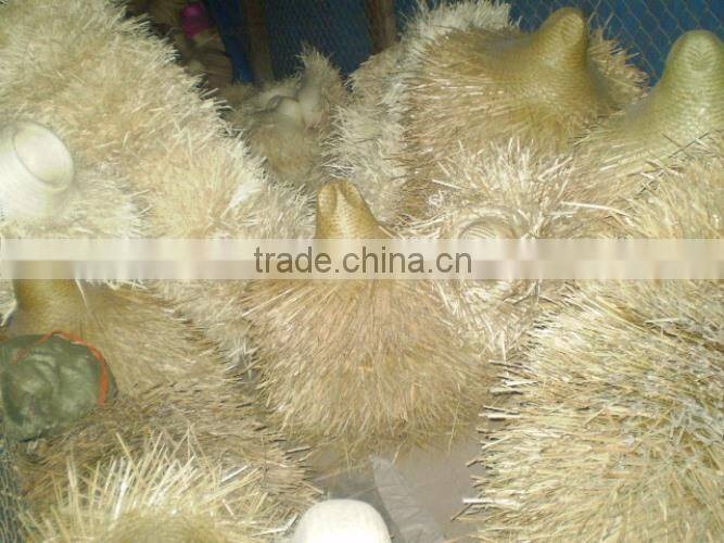 Hot selling of PALM LEAF HAT 2014 from Vietnam