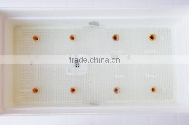 Flowerpot Planter Plant Pot Tomato Planter Box