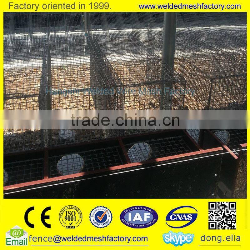 Professional Mink Cage Trap Hot dipped Galvanized Welded Wire Mesh mink cage
