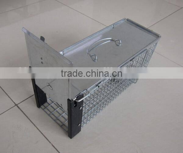 Live animal and squirrel cage traps