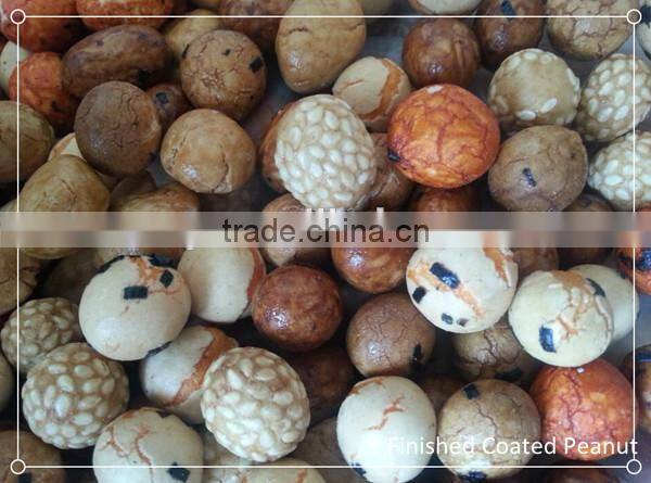 coated and flavored peanut machinery