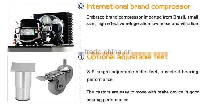 Commercial Stainless Steel Upright Display Freezer/Frozen Food Display Freezer/Commercial Display Freezer