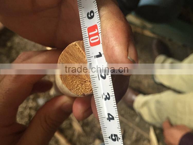 No Spindle Veneer making machine / spindle less rotary cutting machine