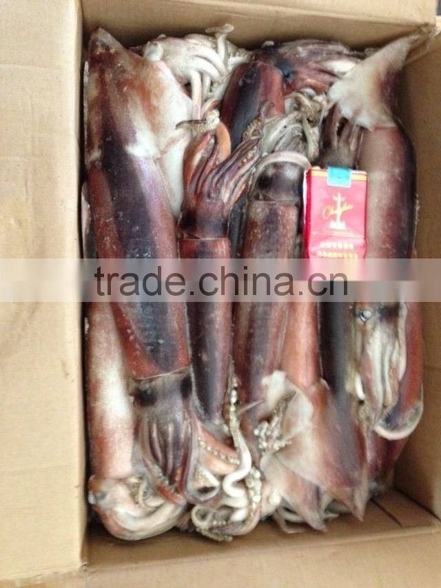 chicharon of japanese squid