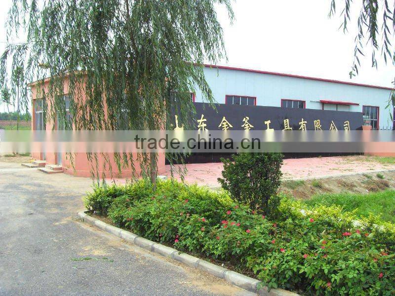 halligan(holligan) tool