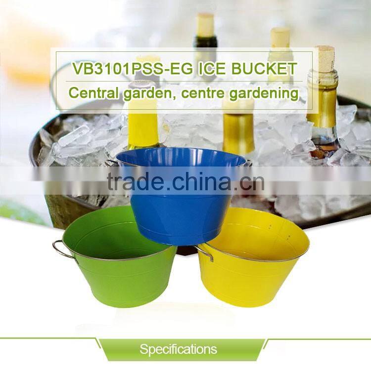 Different types of oval ice bucket with cut flower