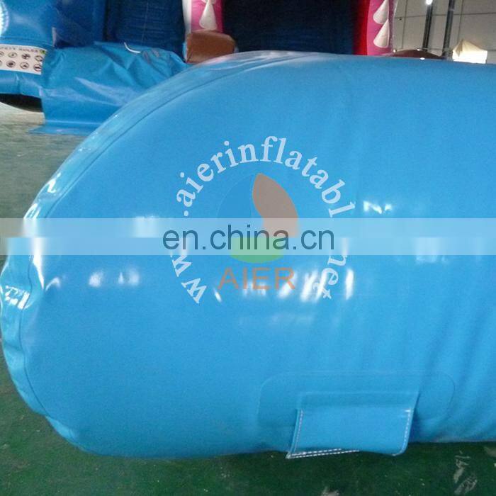 Giant Inflatable shark water slide with pool for sale,Inflatable jumping water slide