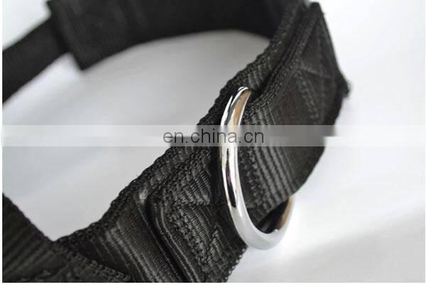 Pet head traction band pet strap band factory