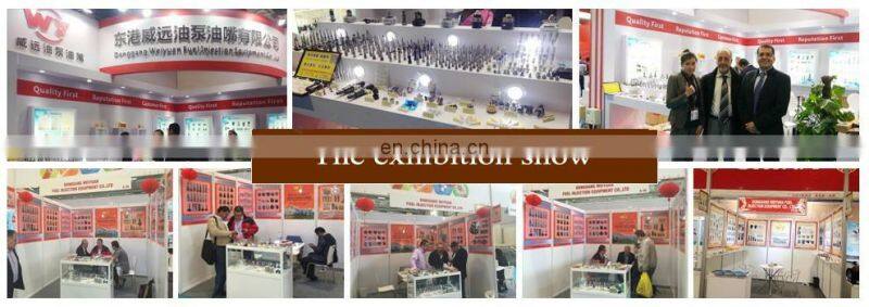 WEIYUAN C7 plunger for Fuel Injection