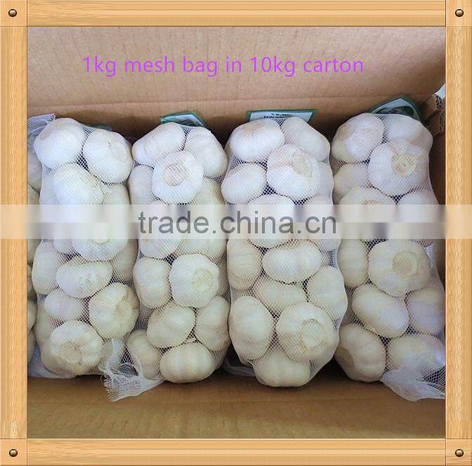 2016 new crop fresh garlic in 10kg mesh bag and carton China export garlic