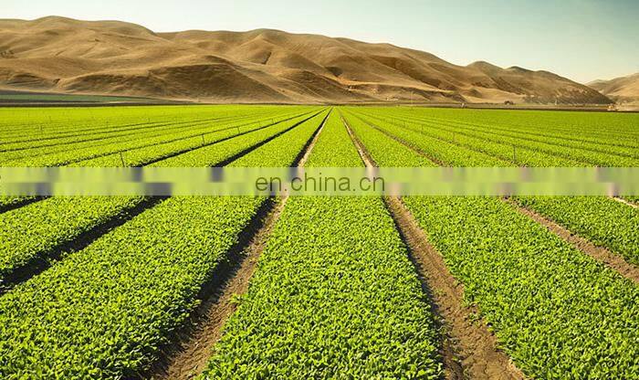 PP plastic 2" mini 180 deg rotating refractive atomizing ajustable micro sprayer sprinkler for irrigation system