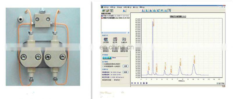 Stable high performance Ion Chromatography
