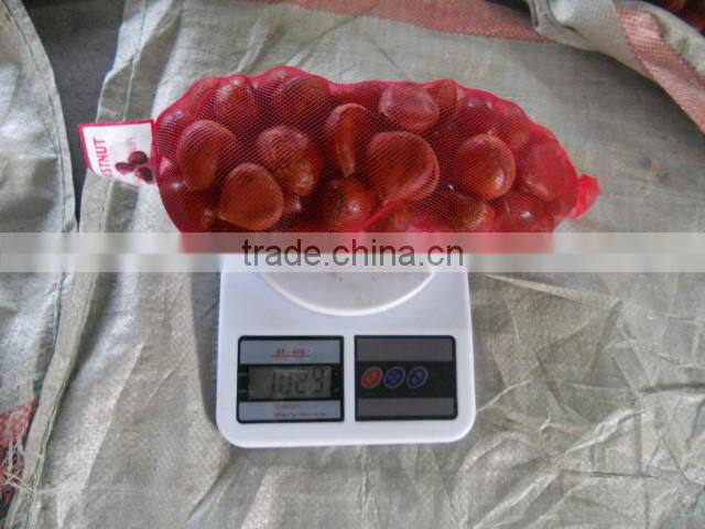 2015 crop fresh Chestnut from China for export