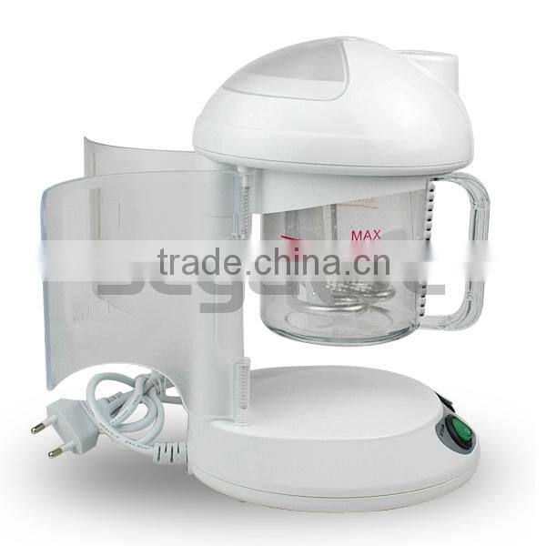 Professional portable hair steamer