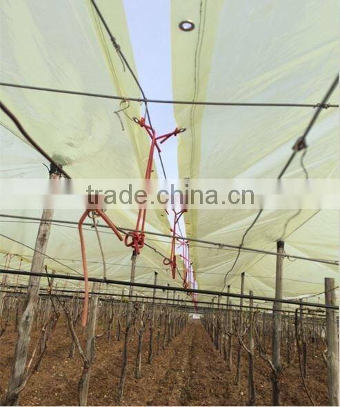 LDPE plastic rain cover for grape vineyard and orchard