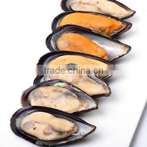 new arrival frozen chinese origin mussel