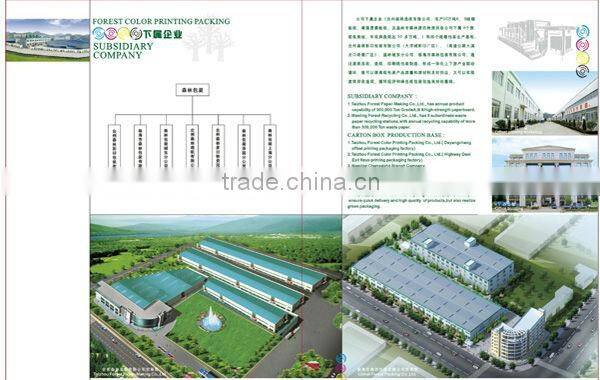 CARTON BOX ART DESIGN FP100764