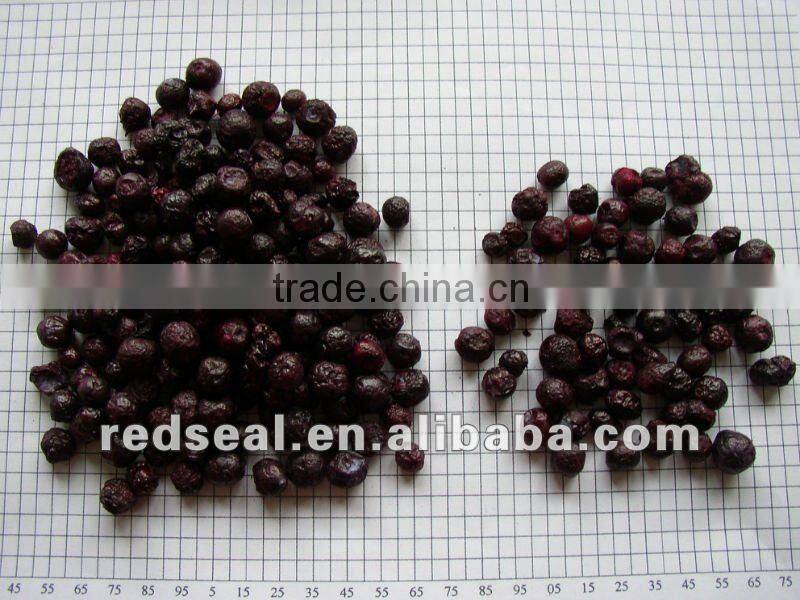 New manufactured dried mango