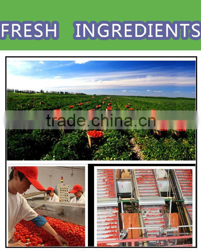 De Tomates Paste la pate de tomates400gx24tins