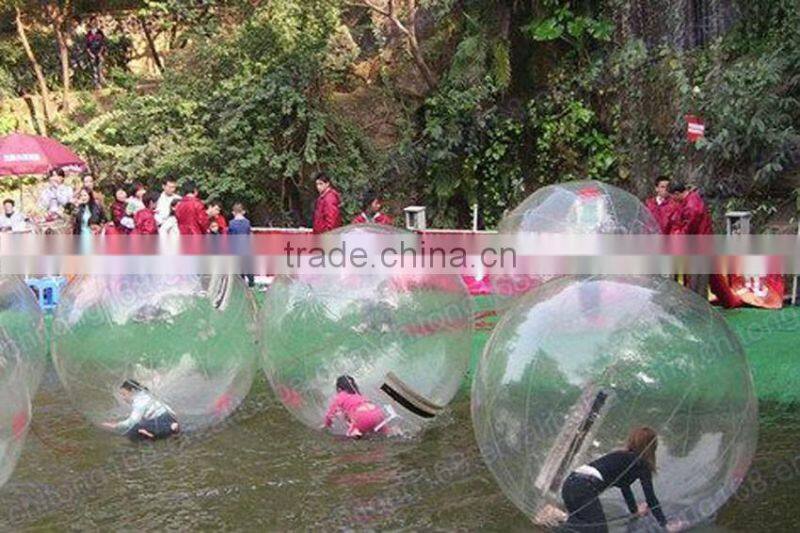 Giant Human Sized Hamster Ball