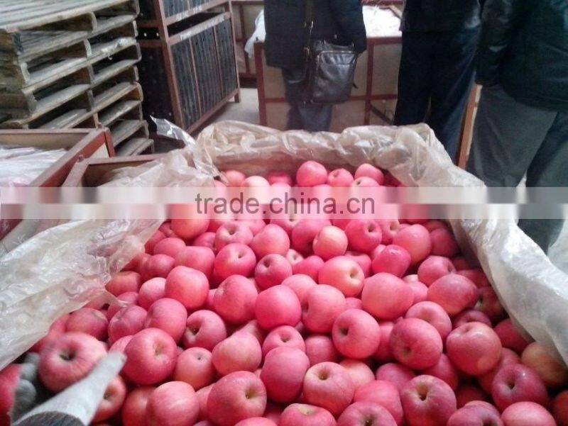 red apple red fuji apple red mature apple