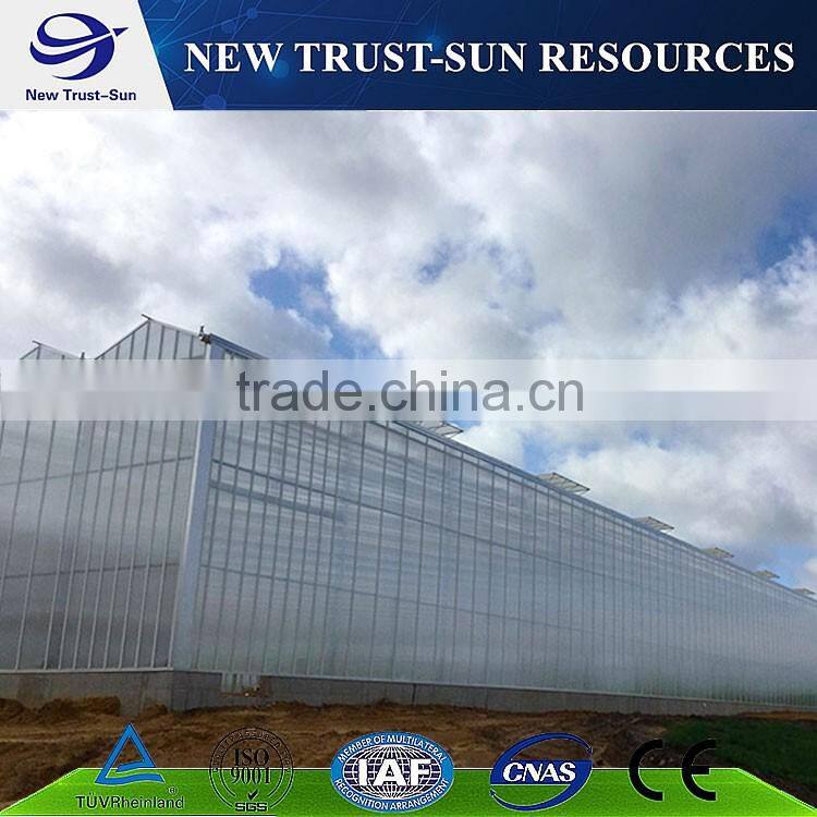 Simple low cost glass agricultural greenhouse