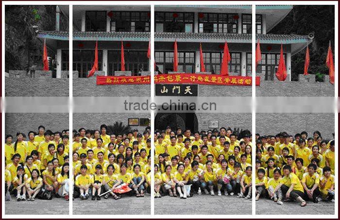 Green Apple Satin Fabric Children Travel Trolley Luggage Bag For Sale