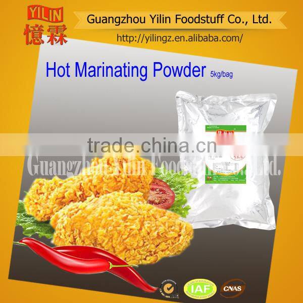 Garlic Flavor Marinated Seasoning Powder made in china