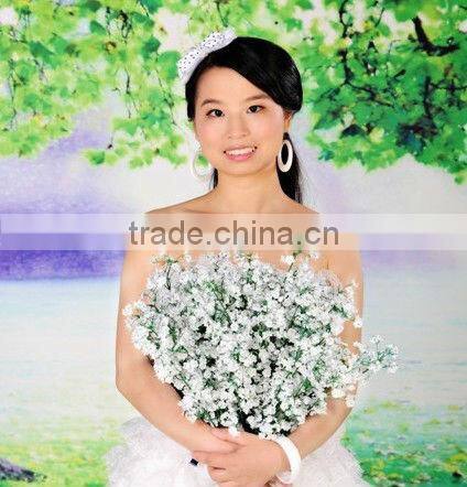 CE certificate cottonseed hulls compress baler